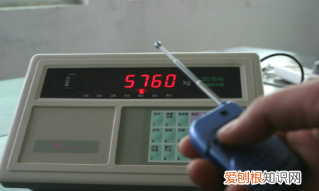 一磅是多少斤,一磅是多少市斤