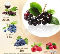 不老莓果可以直接吃吗