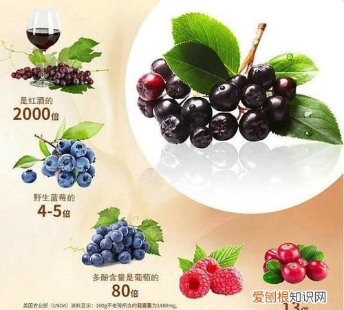 不老莓果可以直接吃吗