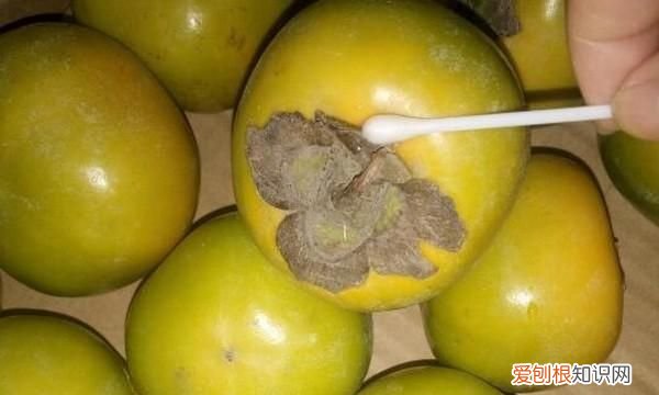 青柿子能吃吗，青柿子怎么样能快速催熟催红