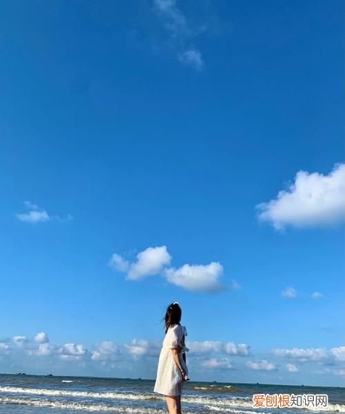 抓住夏天的尾巴下一句,抓住夏天的尾巴的朋友圈说说