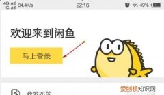 闲鱼怎么召唤出来人工，闲鱼9510222怎么转接不了人工服务