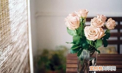 席慕容经典语录，席慕蓉经典语录，句句唯美精辟，你知道多少？