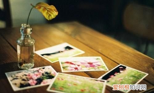 席慕容经典语录，席慕蓉经典语录，句句唯美精辟，你知道多少？