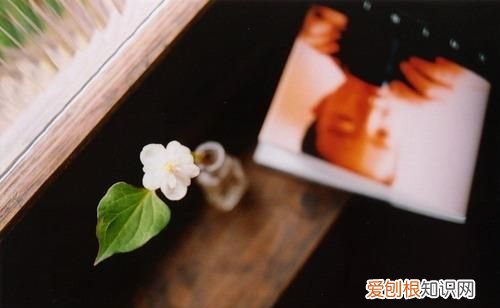 席慕容经典语录，席慕蓉经典语录，句句唯美精辟，你知道多少？