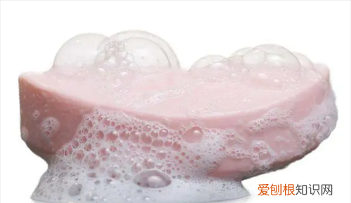 蟑螂怕什么怎样灭蟑螂最有效 蟑螂怕什么气味和东西