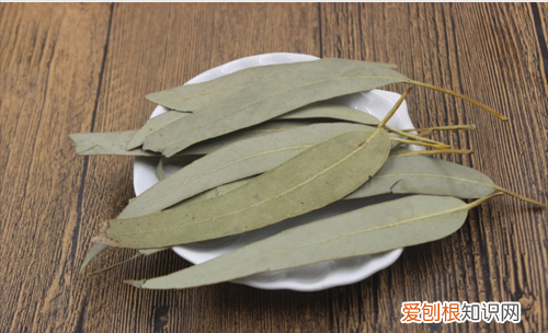 蟑螂怕什么怎样灭蟑螂最有效 蟑螂怕什么气味和东西