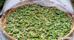 干苦瓜秋冬季节可以泡水喝吗,苦瓜干和什么泡水喝效果比较好