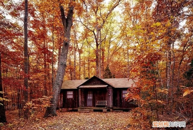 为什么电脑老是重启更新还不成功