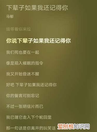下辈子如果你愿意是什么歌,我说下辈子如果你愿意是什么歌