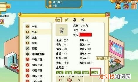 皮卡堂怎么抓宠物,皮卡堂伐木森林怎么打怪