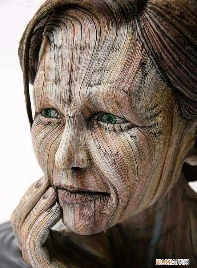 蓝鲸的心脏长什么样子