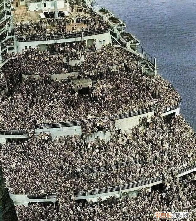 蓝鲸的心脏长什么样子