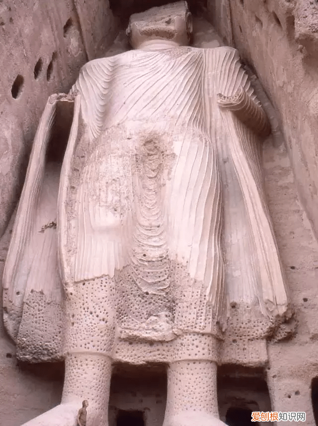 蓝鲸的心脏长什么样子