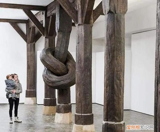 蓝鲸的心脏长什么样子