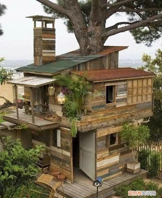 蓝鲸的心脏长什么样子