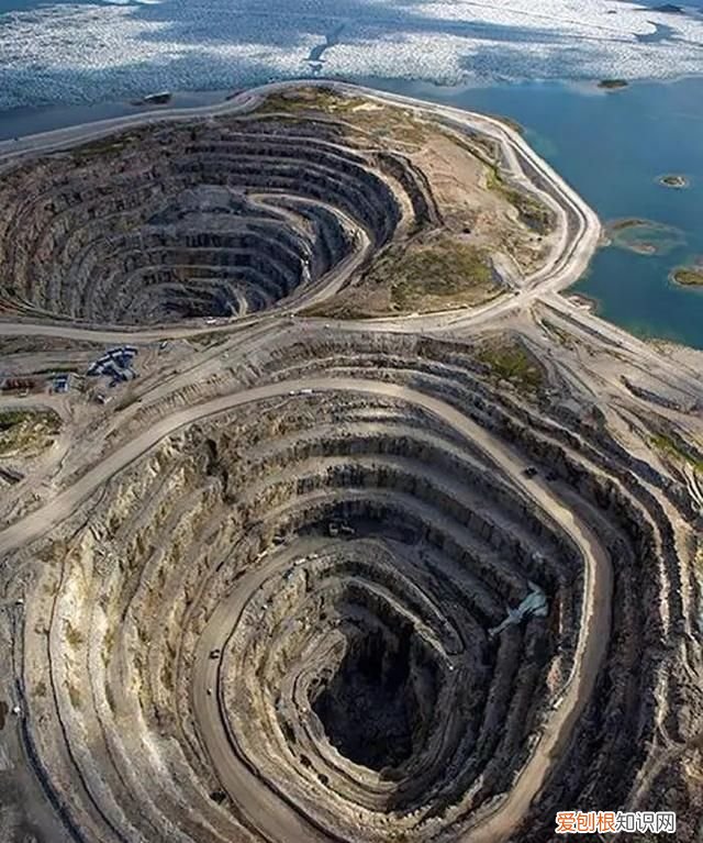 蓝鲸的心脏长什么样子