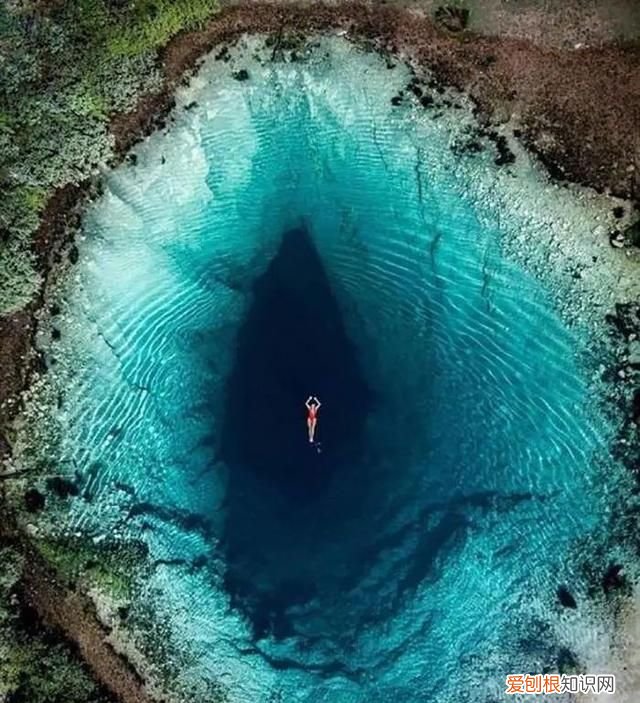 蓝鲸的心脏长什么样子