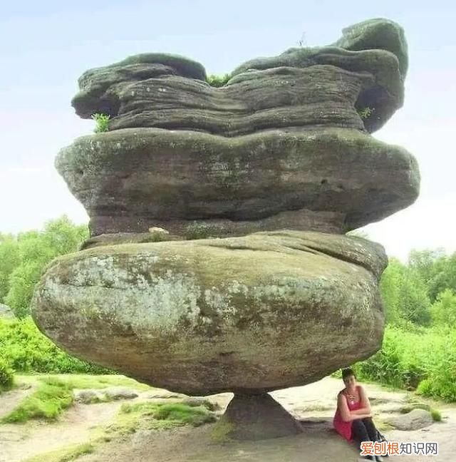 蓝鲸的心脏长什么样子