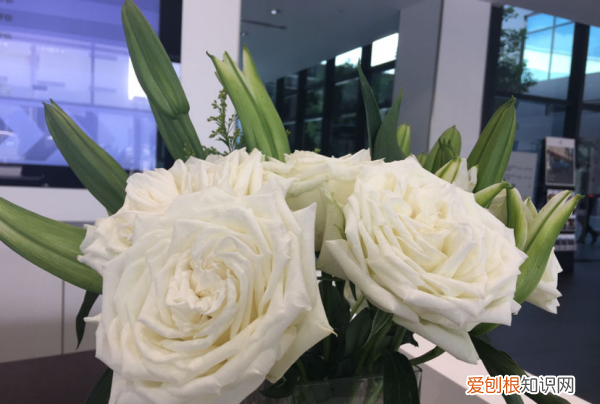 花为什么要醒,醒花的时候要不要放保鲜剂 醒花用深水还是浅水