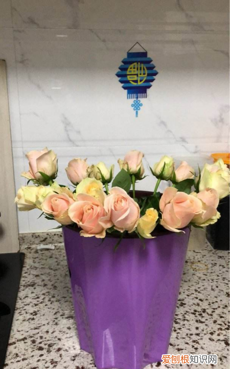 花为什么要醒,醒花的时候要不要放保鲜剂 醒花用深水还是浅水