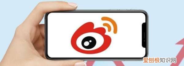 怎么修正粉丝微博,微博修正粉丝是什么怎么修正粉丝