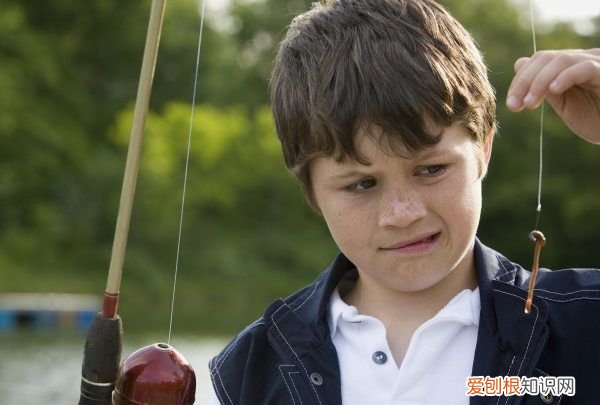 鮰鱼怎么钓最有效，钓鮰鱼用什么钩最好