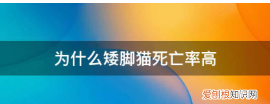 魔兽世界狐人怎么解锁，魔兽世界狐人快速解锁