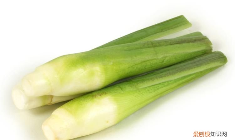 茭白如何保存时间长，茭白可以放冰箱能存放几天