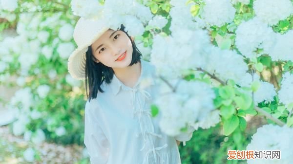 网络圣母是什么意思，如何防止自己圣母心泛滥