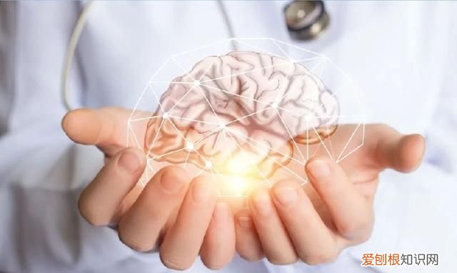 脑萎缩最大的忌讳 不爱开窗的人更容易脑萎缩