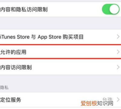 苹果手机咋才能隐藏App图标,苹果怎么隐藏软件不被发现