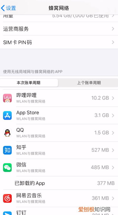 苹果如何限制流量消耗,苹果手机流量限制在哪设置方法