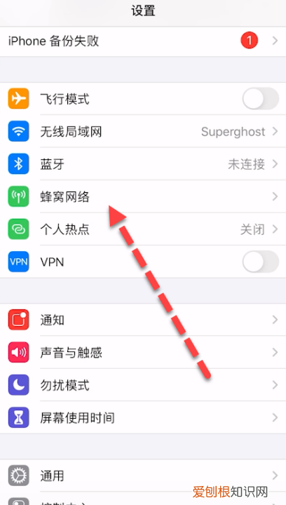 苹果如何限制流量消耗,苹果手机流量限制在哪设置方法
