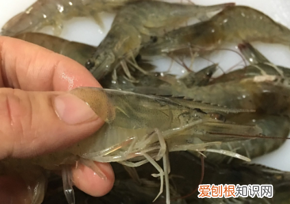 虾如何快速去除视频，如何去除虾线的简单经验方法