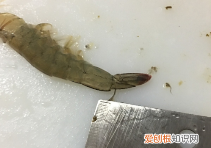 虾如何快速去除视频，如何去除虾线的简单经验方法