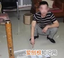 粑是什么东西
