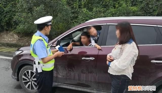 高速路边摘李子莫把生命当儿戏,摘李子莫当儿戏