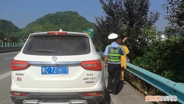 高速路边摘李子莫把生命当儿戏,摘李子莫当儿戏