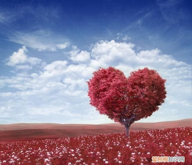 和爱情有关的数字组合