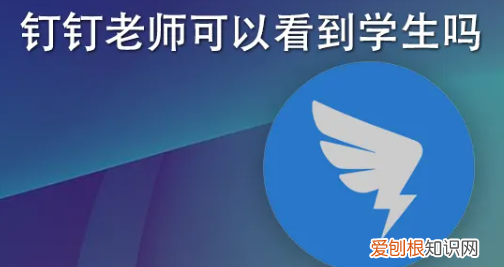 钉钉直播可以看到学生，钉钉上课老师能看到学生在干什么吗