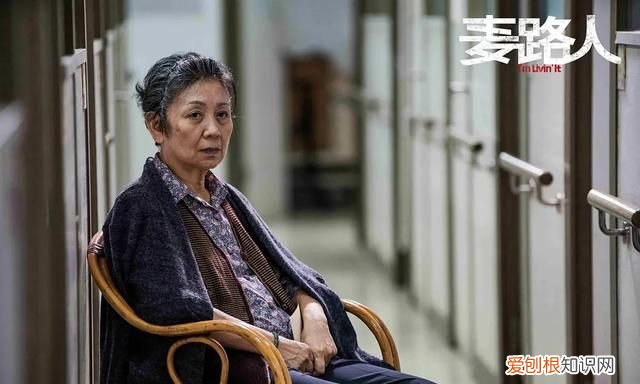 麦路人 小偷家族