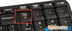 电脑上数字键打不出来怎么办