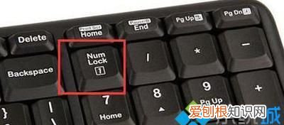 电脑上数字键打不出来怎么办