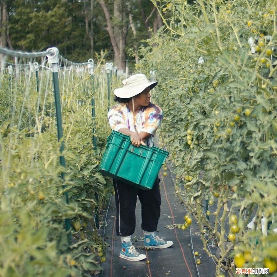 Converse 全新联名鞋曝光）