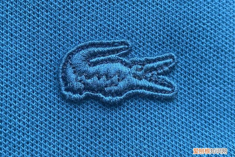 鳄鱼男士polo衫,穿出你想要的男人味