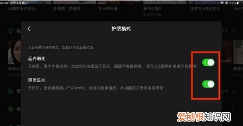 ipad青少年模式在哪里设置