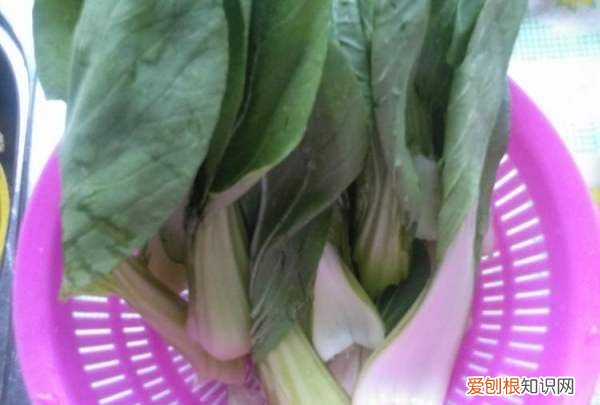 大锅菜的正宗做法