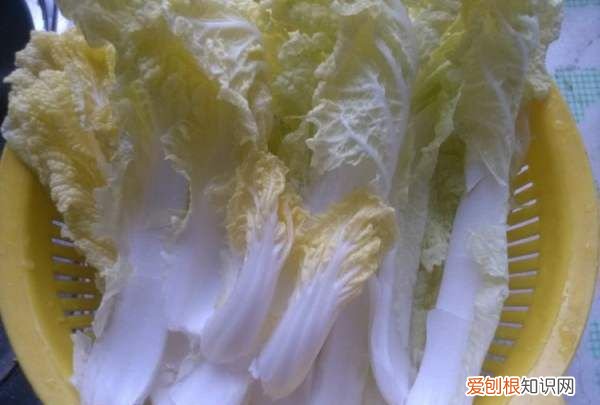 大锅菜的正宗做法