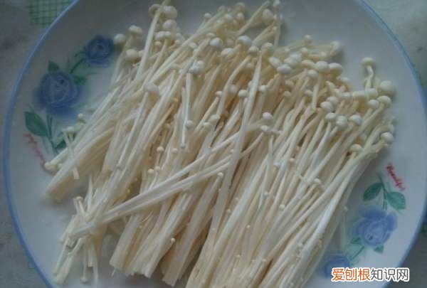 大锅菜的正宗做法